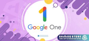 Google One shadoq